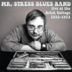 Mr. Stress Blues Band